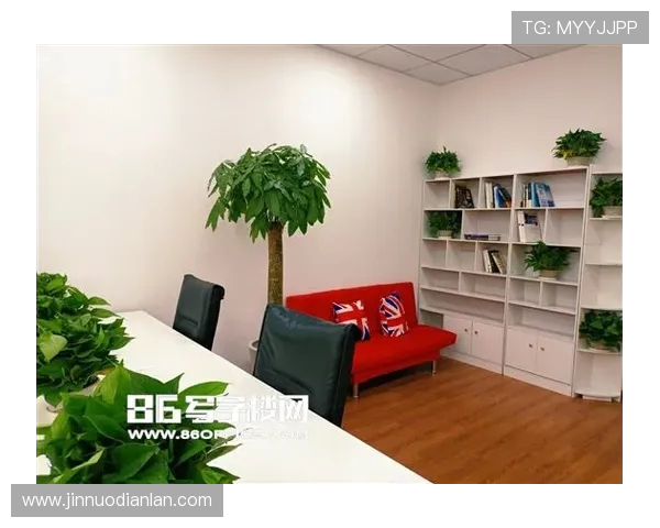 网球运动发展历程与技术创新分析：从基础训练到现代竞技模式的演变