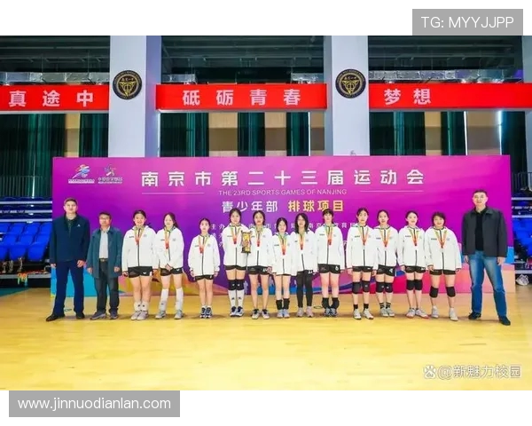 南京排球队在全国排球团队协作排行榜中荣获第八名的佳绩
